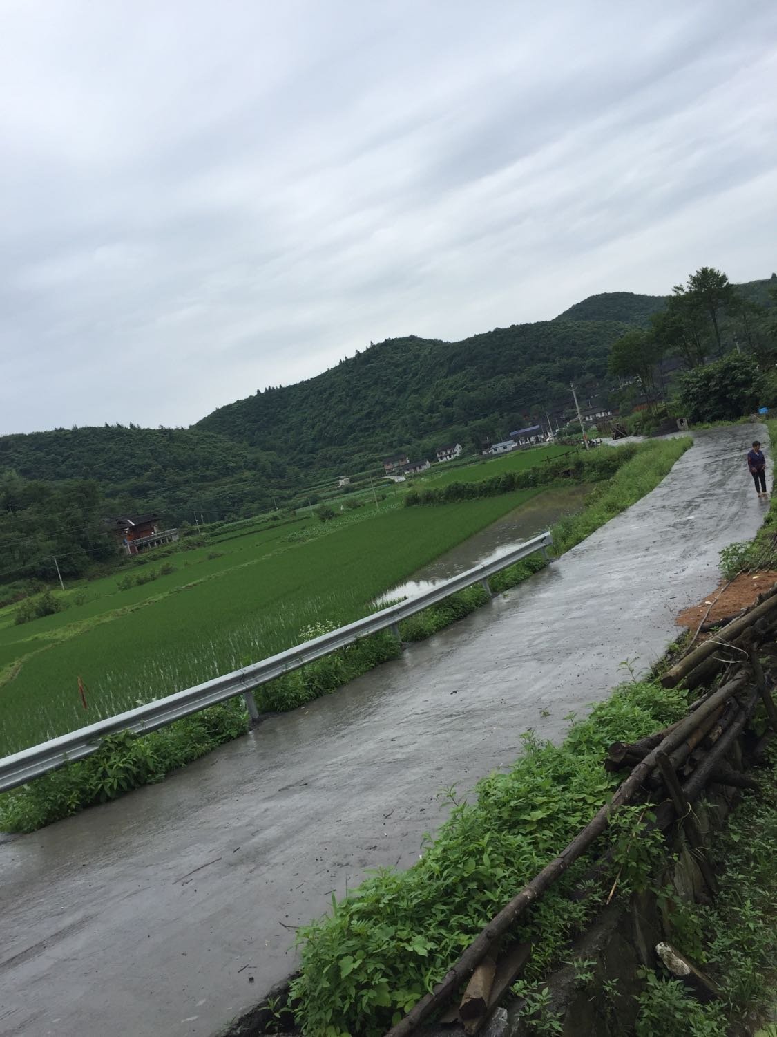 红路岭村委会天气预报更新通知