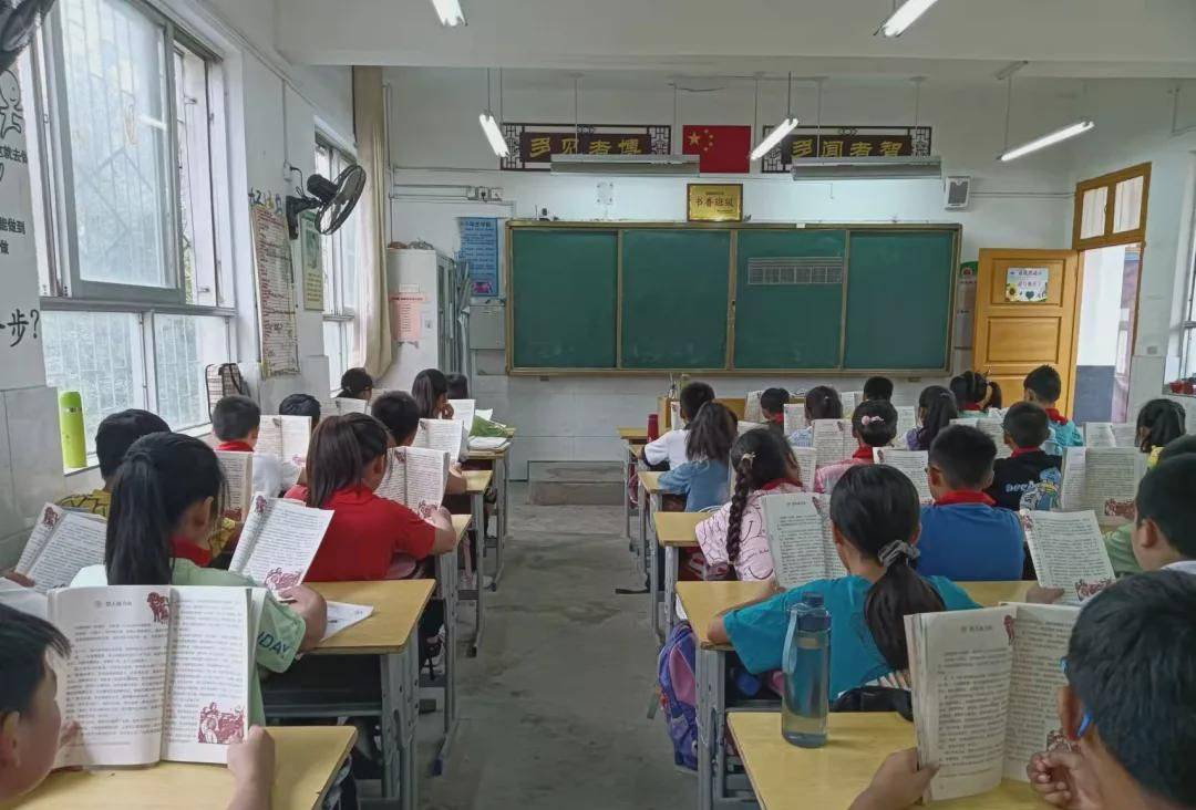 固始县小学最新教师招聘启事概览