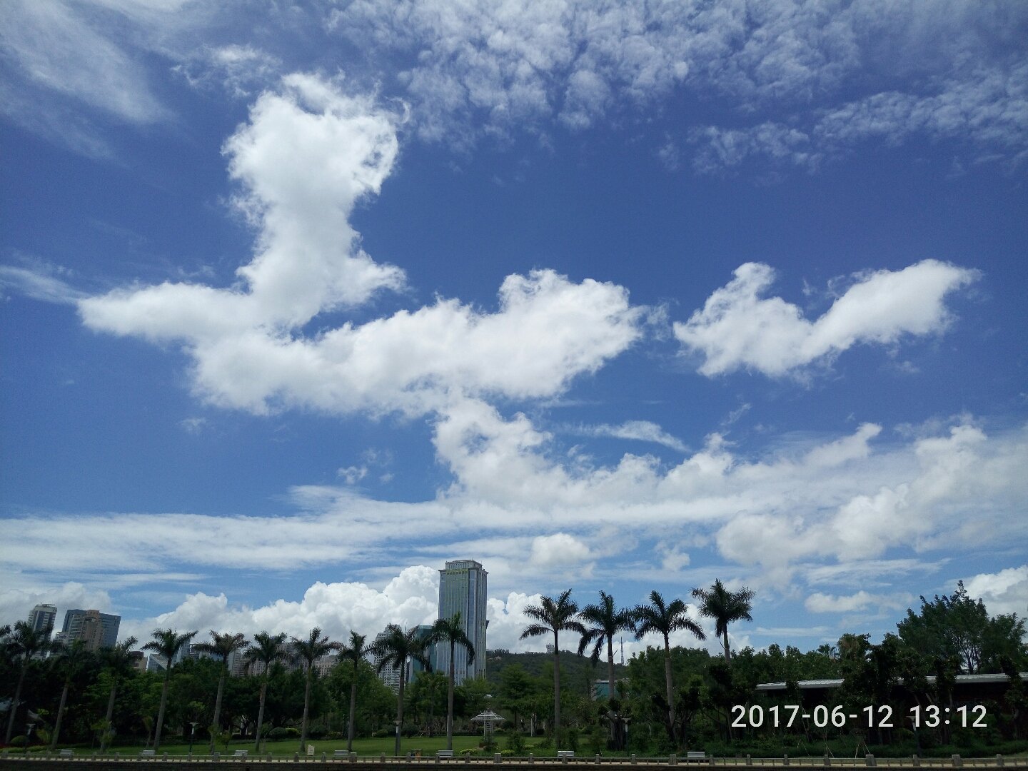 海沧街道天气预报更新通知