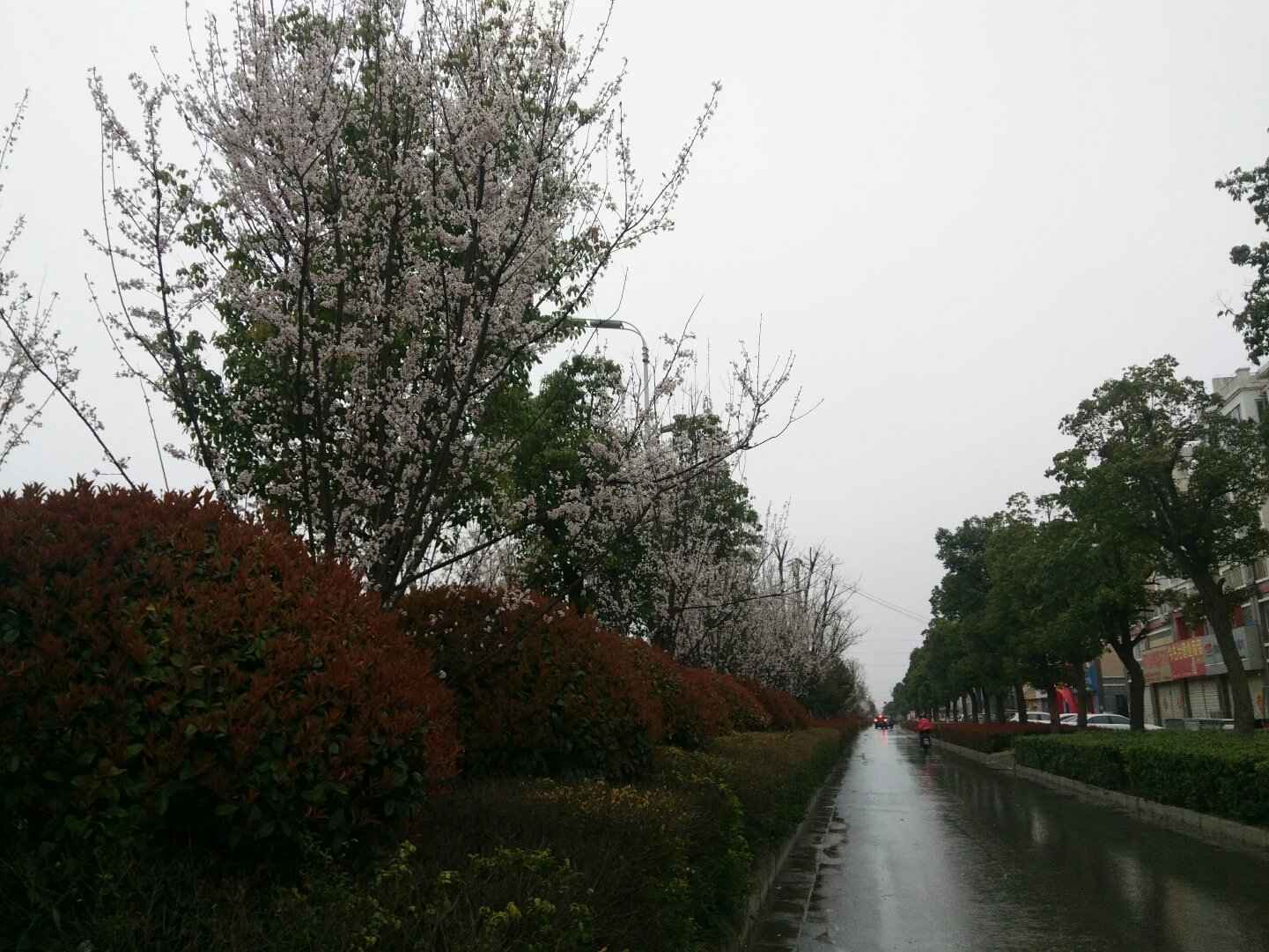 颍西街道天气预报更新通知