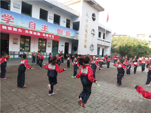 马村区小学最新动态报道