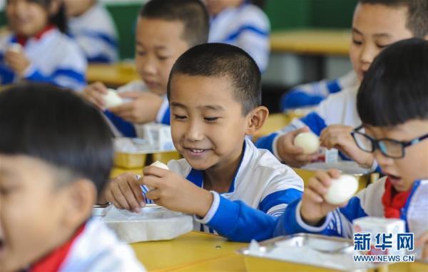 霸州市小学最新动态报道