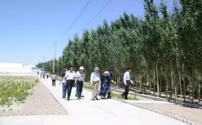 天峻县农业农村局最新发展规划概览