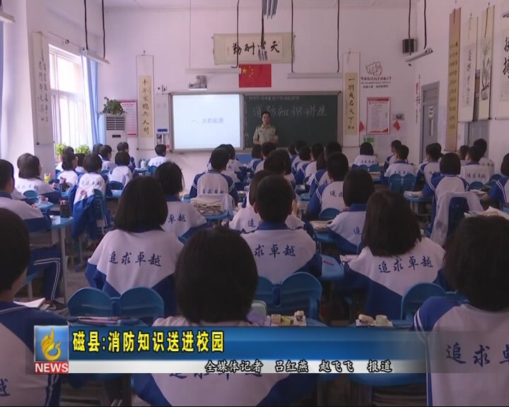 磁县小学最新动态报道