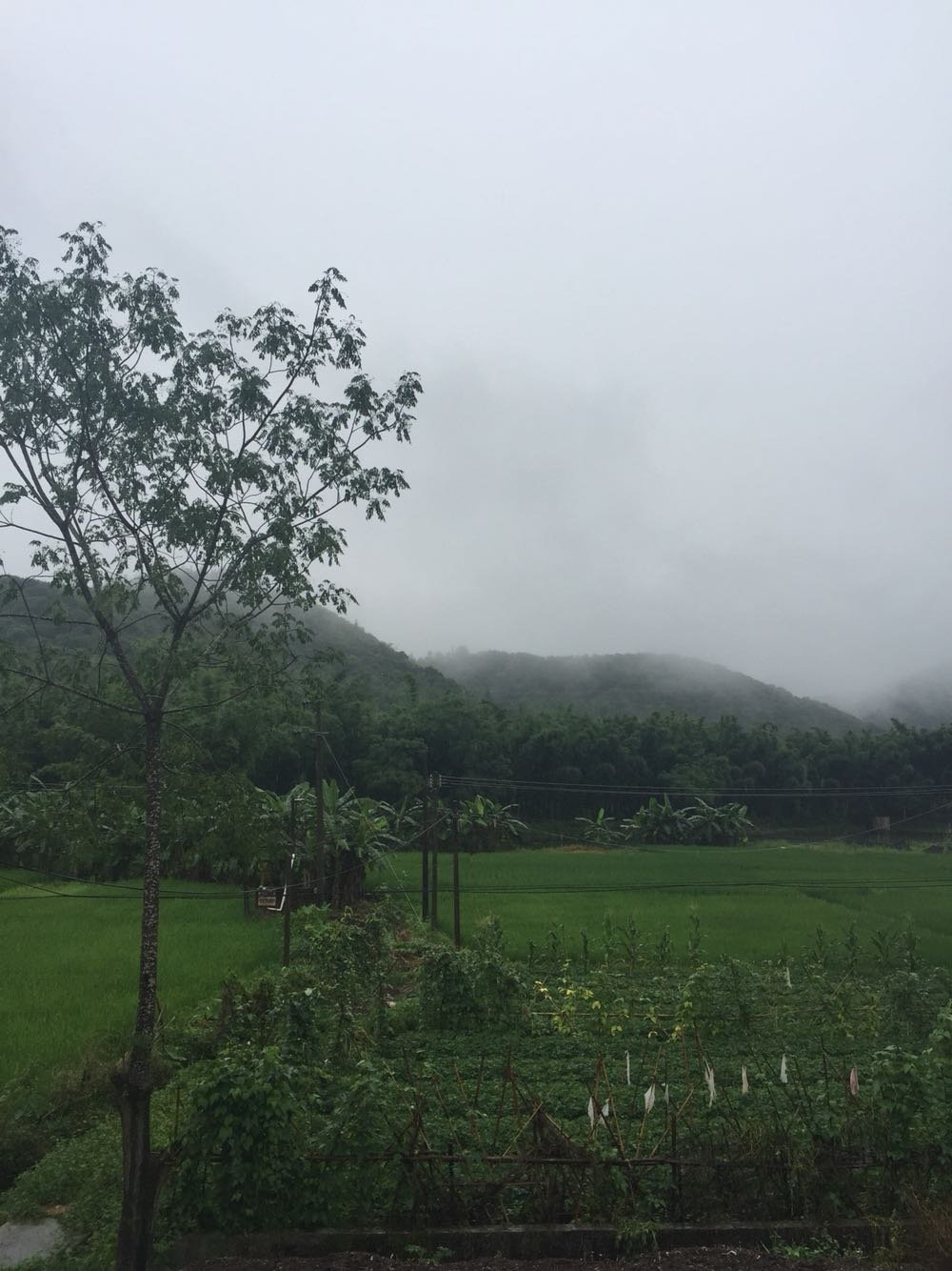 学巴村今日天气预报