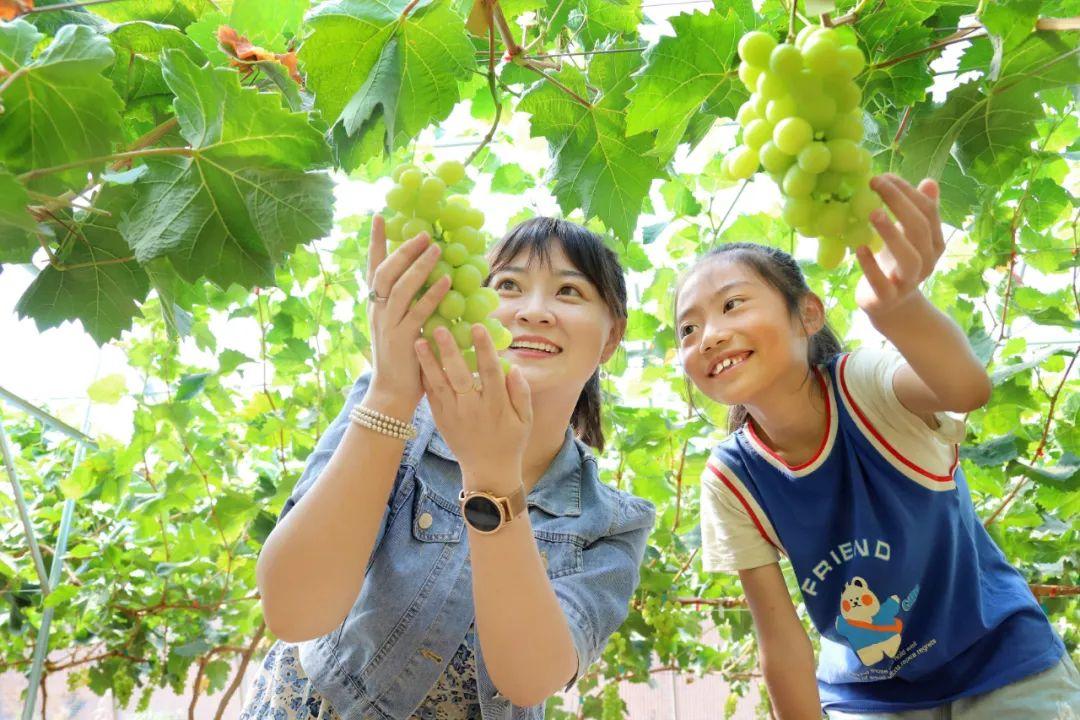 智号村委会天气预报更新通知