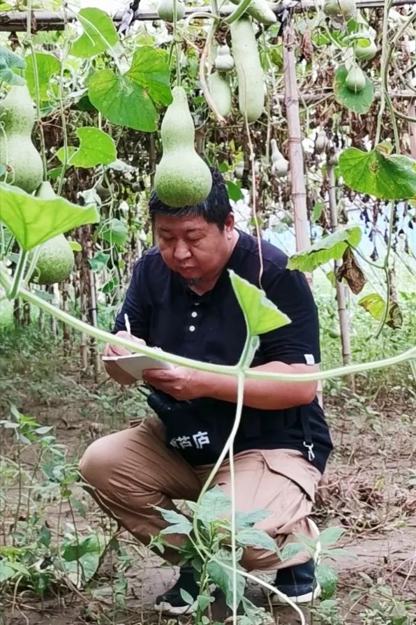 葫芦乡新项目启动，乡村振兴新引擎亮相