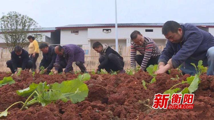 衡南县原种场最新新闻报道