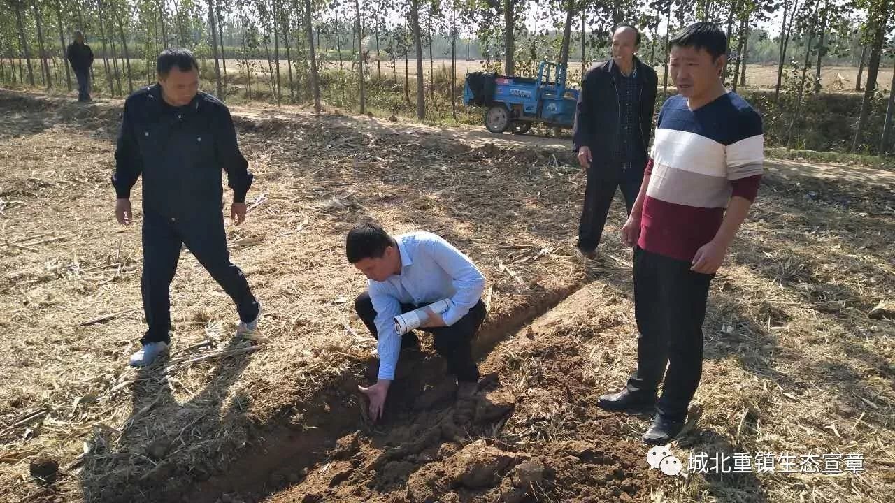 宣章屯镇交通升级助力地方发展最新消息