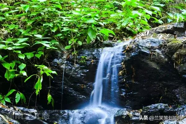 善溪乡新项目，引领乡村发展的全新动力