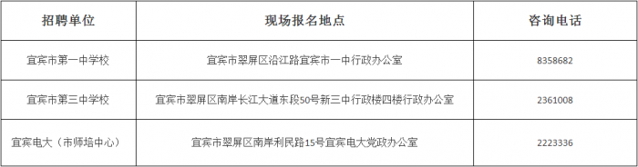 宜宾县人民政府办公室最新招聘公告解读