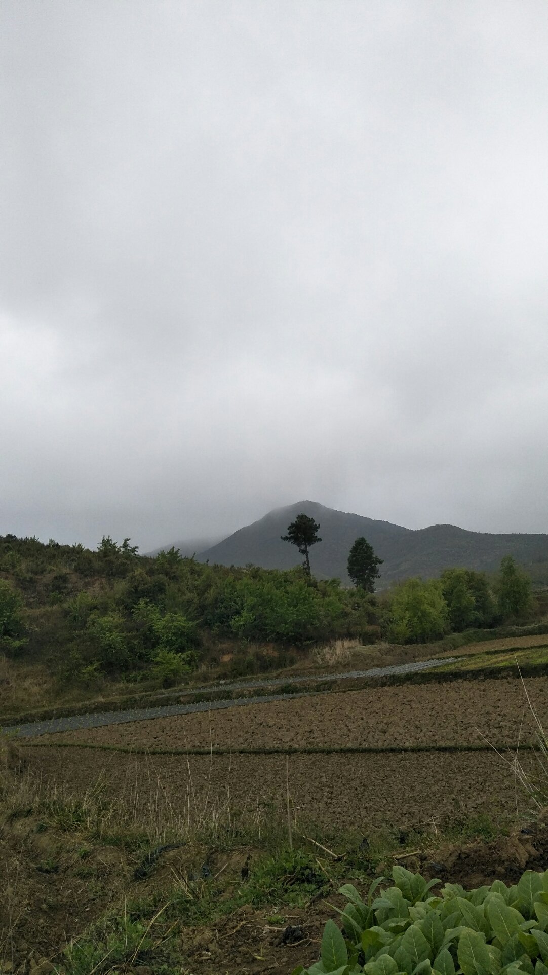 浅井乡天气预报更新通知