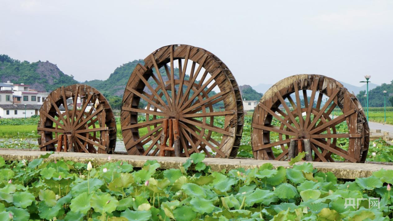 中渡镇最新项目，地区发展的强大引擎启动点